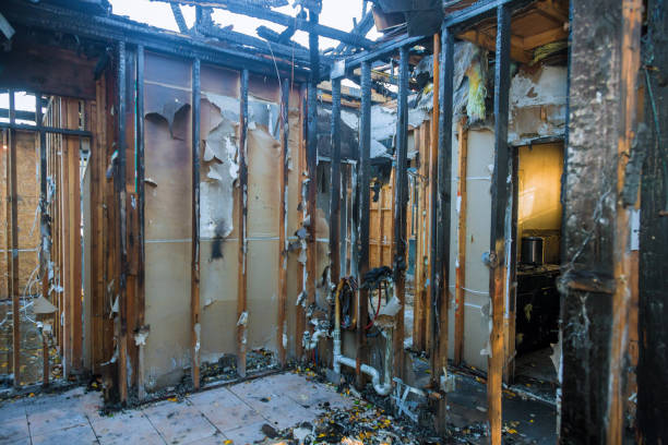Professional Odor Removal technician working in Williamsburg, IA
